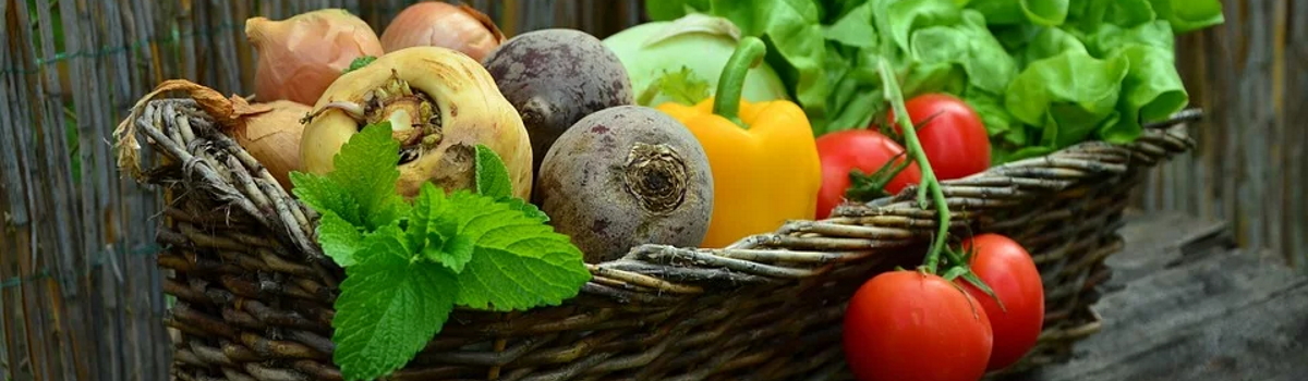 Vegetarier werden: Tipps für den Weg zum Vegetarismus